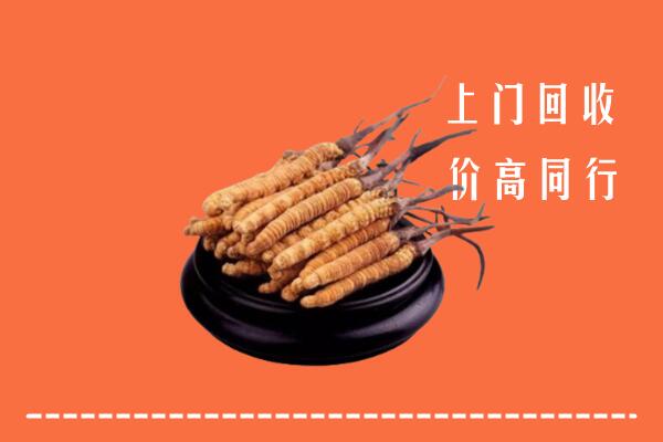 高价求购：乐山金口河回收散虫草