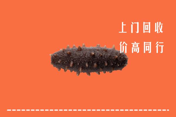 高价求购：乐山金口河回收海参