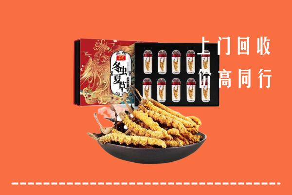 乐山金口河回收虫草